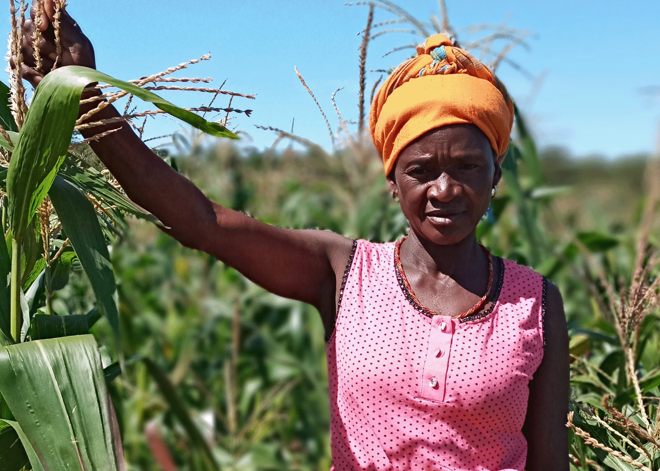 Combater A Fome Em Angola Abordagem Integrada Da World Vision Angola à Emergência Da Fome 7499